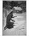 Photographic Prints of Werewolf Returning Home from Mary Evans