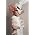 Thumbnail image of Lady Gaga