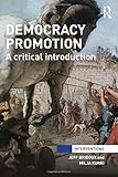 Democracy promotion : a critical introduction