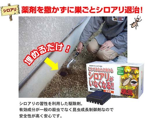 シロアリハンター 6個入33847