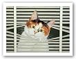 Sassy Lara by Lowell Herrero 9.5"x7.5" Art Print Poster