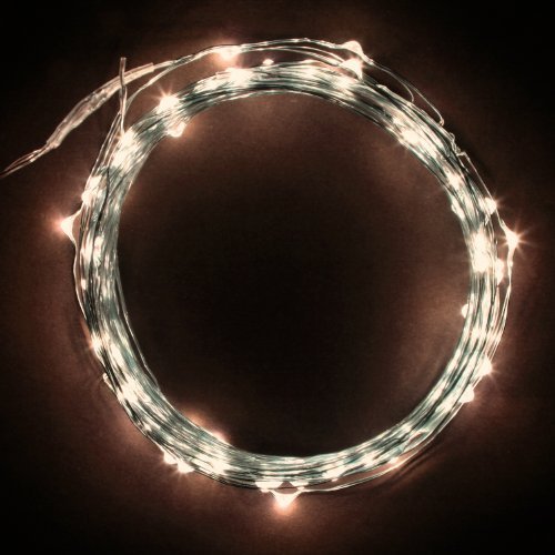 Rtgs Micro LED 100 Warm White Color Lights Plug In on 32 Ft Long Silver Ultra Thin String Wire [NEWEST VERSION] + 100% RTGS Products Satisfaction Guarantee