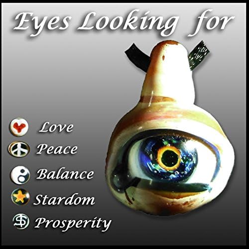 Eyeball Pendant "Looking for Peace, Love, Balance, Harmony, Prosperity, Stardom, Aliens"
