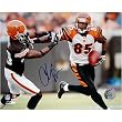 Chad Johnson Autographed Stiff Arm 8x10 Photograph Sports Football