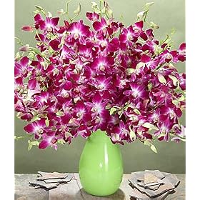 Flowers - Deluxe Purple Dendrobium Orchids Bouquet with Vase by 