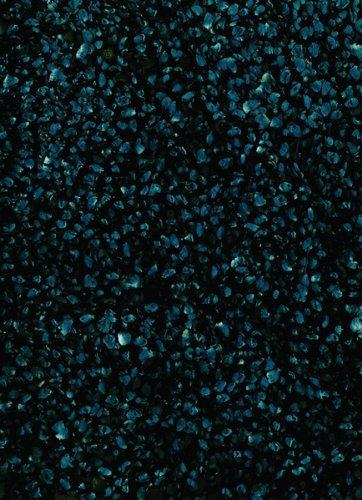 Dalyn Rugs Belize Bz 100 Teal 112, 8-Feet by 10-Feet