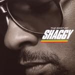 The Best of Shaggy