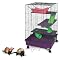 Pet rat supplies