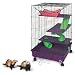 Pet rat supplies