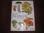 Dausiens grosses Pilzbuch in Farbe