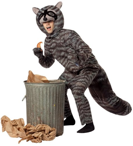 Raccoon Adult Costume Size One Size Fits Most Adults