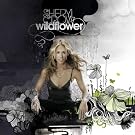 Wildflower [CD + DVD]