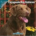 Chesapeake Bay Ret 2010 Wall Calendar #10084-10