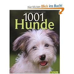 1001 Hunde