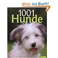 1001 Hunde