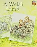 A Welsh lamb