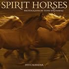 Spirit Horses 2010 Wall Calendar by Tony Stromberg