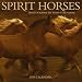 Spirit Horses 2010 Wall Calendar