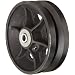 RWM Casters V-Groove Wheel with Straight Roller Bearing 1000 lbs Capacity