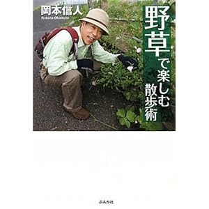 野草で楽しむ散歩術