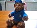 TY Beanie Baby - DEAR DAD the Bear (Hallmark Gold Crown Exclusive)