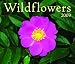 Wildflowers 2009 (Calendar)