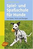 Spiel- und Spa&szlig;schule f&uuml;r Hunde: 200 Spiele, Tricks und &Uuml;bungen - Celina DelAmo
