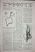 1922 Minoan Animal Sculpture Bull'S Head Rhyton Drawing