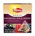 Lipton Black Tea, Bavarian Wild Berry, Premium Pyramid Tea Bags, 20-Count Boxes (Pack of 6)