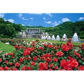 パズルの達人 450ピース 紅バラ咲く公園-兵庫 08-508