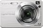 Sony Cybershot DSCW120 7.2MP Digital Camera with 4x Optical Zoom with Super Steady Shot (Silver)