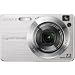 Sony Cybershot DSCW120 7.2MP Digital Camera with 4x Optical Zoom with Super Steady Shot (Silver)