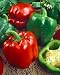 Keystone Resistant Giant Sweet Pepper Seeds - Capsicum Annuum - 1 Grams - Approx 143 Gardening Seeds - Vegetable Garden Seed