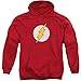 DC Comics Flash Logo Mens Pullover Hoodie