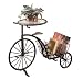 51Vod6kvAzL. SL75  Bike Tricycle