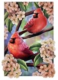 Red Carpet Studios Expressions Decorative Flag, Cardinal Couple, Large - B002UUUO7W