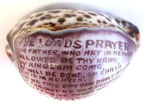 The Lord's Prayer Hand Etched On a 3 Inch Genuine Spotted Cowry Shell