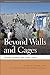 Beyond Walls and Cages: Prisons, Borders, and Global Crisis (Geographies of Justice and Social Transformation)