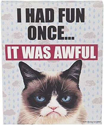 Had Fun Once Grumpy Cat Canvas Print - Funny Novelty Wall Decor Sarcastic Art