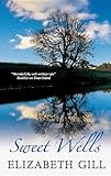 Sweet Wells