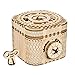 ROKR 3D Assembly Wooden Puzzle DIY Crafts Kit Fun Creative DIY Toy Treasure Box Brain Teaser Mechanical Engineering Model Building Kits Educational Toy Birthday Gift for Adults and Kids Age 14+