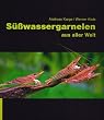 S��wassergarnelen aus aller Welt
