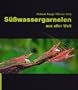 S��wassergarnelen aus aller Welt