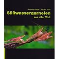 S��wassergarnelen aus aller Welt