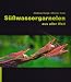 S��wassergarnelen aus aller Welt