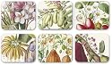 Jason Products Flore d'Amerique Coasters, Set of 6