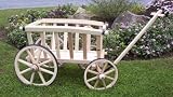 Decorative Pumpkin Wagon