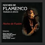 Noches de Flamenco - Noche de Fusión