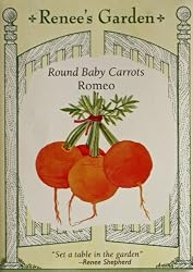Round Romeo Baby Carrot Seeds 1500 Seeds