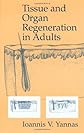 Tissue and Organ Regeneration in Adults